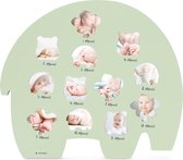 Fotolijstjes voor babyfoto's, maandelijkse fotolijst voor de eerste 12 maanden, houtvezel lijst voor babyfoto's van het eerste levensjaar