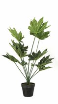 Countryfield - Fatsia groen - kunstplant - L20B20H60CM