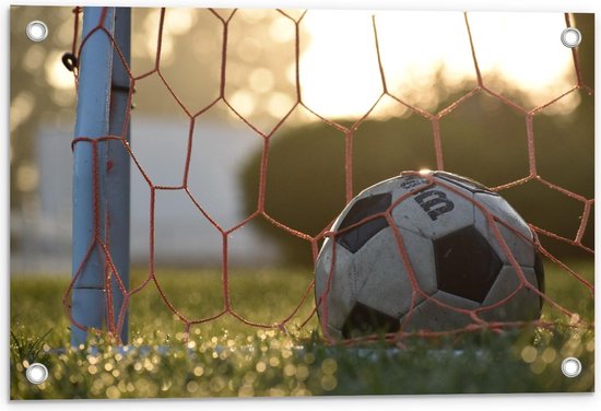 Tuinposter – Voetbal in de Goal - 60x40cm Foto op Tuinposter  (wanddecoratie voor buiten en binnen)