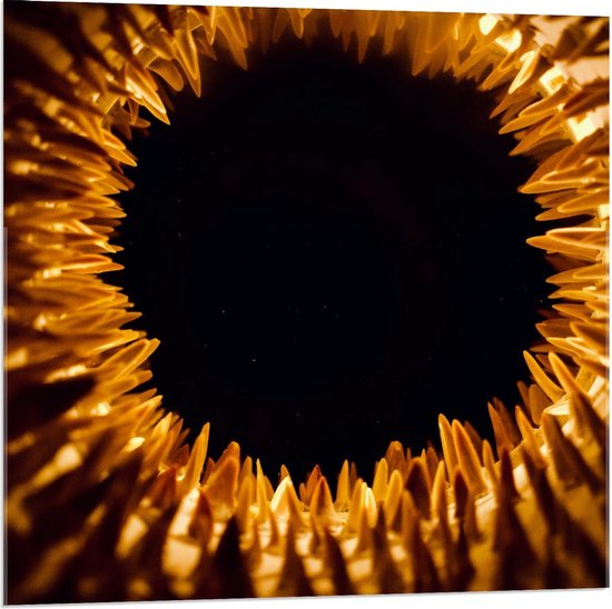 Acrylglas - Gouden Pinnen - 80x80cm Foto op Acrylglas (Wanddecoratie op Acrylglas)