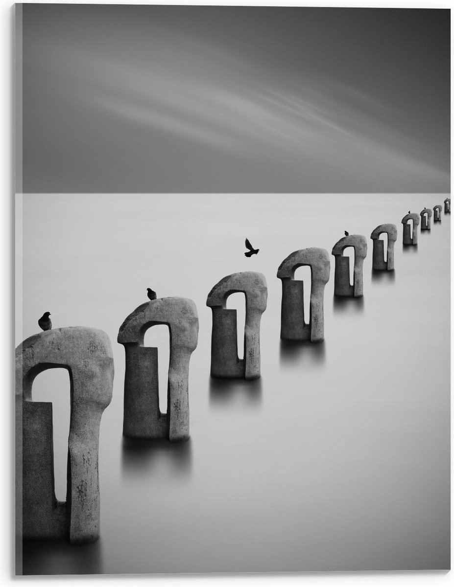 Acrylglas - Vogels op Betonnen Palen ( Zwart Wit ) - 30x40cm Foto op Acrylglas (Wanddecora