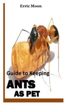 Guide to Keeping Ants as Pet