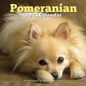 Pomeranian 2021 Calendar