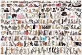 Puzzel 2000 stukjes - The World of Cats
