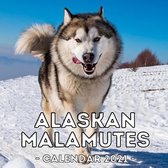 Alaskan Malamutes