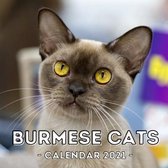 Burmese Cats