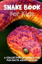 Snake Book For Kids A Collection Of Images And Fun Facts About Snakes