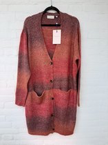 Only Carmakoma Cargaboa Kleurig Vest Maat 54/56