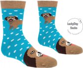 Verjaardag cadeau - Beagle Sokken - Sokken - Leuke sokken - Vrolijke sokken - Luckyday Socks - Sokken met tekst - Aparte Sokken - Socks waar je Happy van wordt - Maat 30-38,5