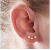 Kleine sterretjes oorbellen | zilver gekleurd