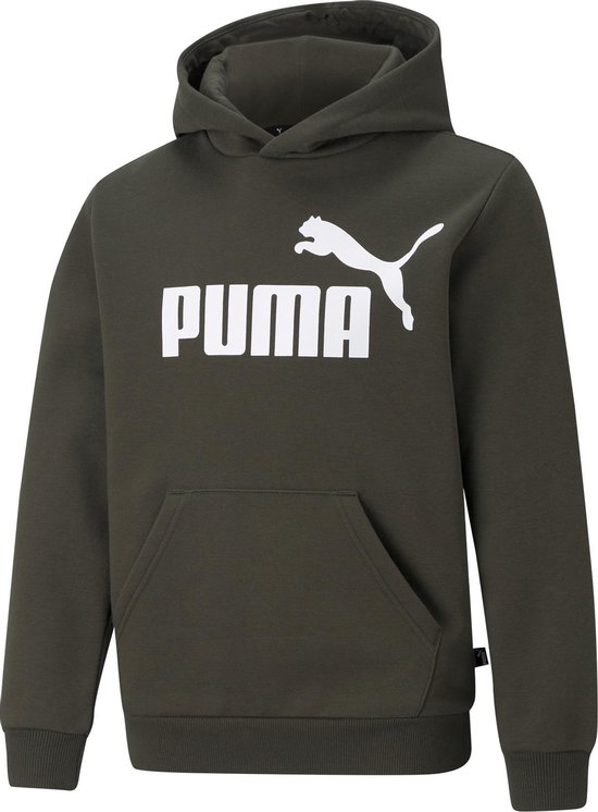 Puma Puma Essentials Trui - Unisex - donker groen/wit | bol.com