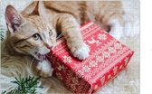 Poes met cadeau puzzel 252 stukjes