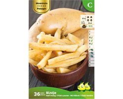 36 x plant aardappel BINTJE - solanum tuberosum - plantaardappel - pootaardappel