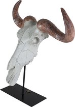 Authentic Models - Decoratieve Buffel schedel  40 x 20 x 42cm