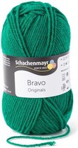 Bravo Wol - 50 gram -  Groen