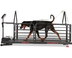 Dog Runner Loopband Honden - Ortho Pro hondenloopband - Afstandsbediening - LCD-scherm - Met programma's