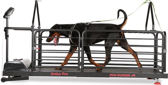 Dog Runner Loopband Honden
