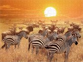 Zebra op Afrikaanse Savanne – Lastige Puzzel 500 Stukjes | Natuur Wild – Zebra Puzzel