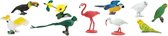 Safari Speelset Exotische Vogels Junior 4-7,5 Cm 48 Stuks