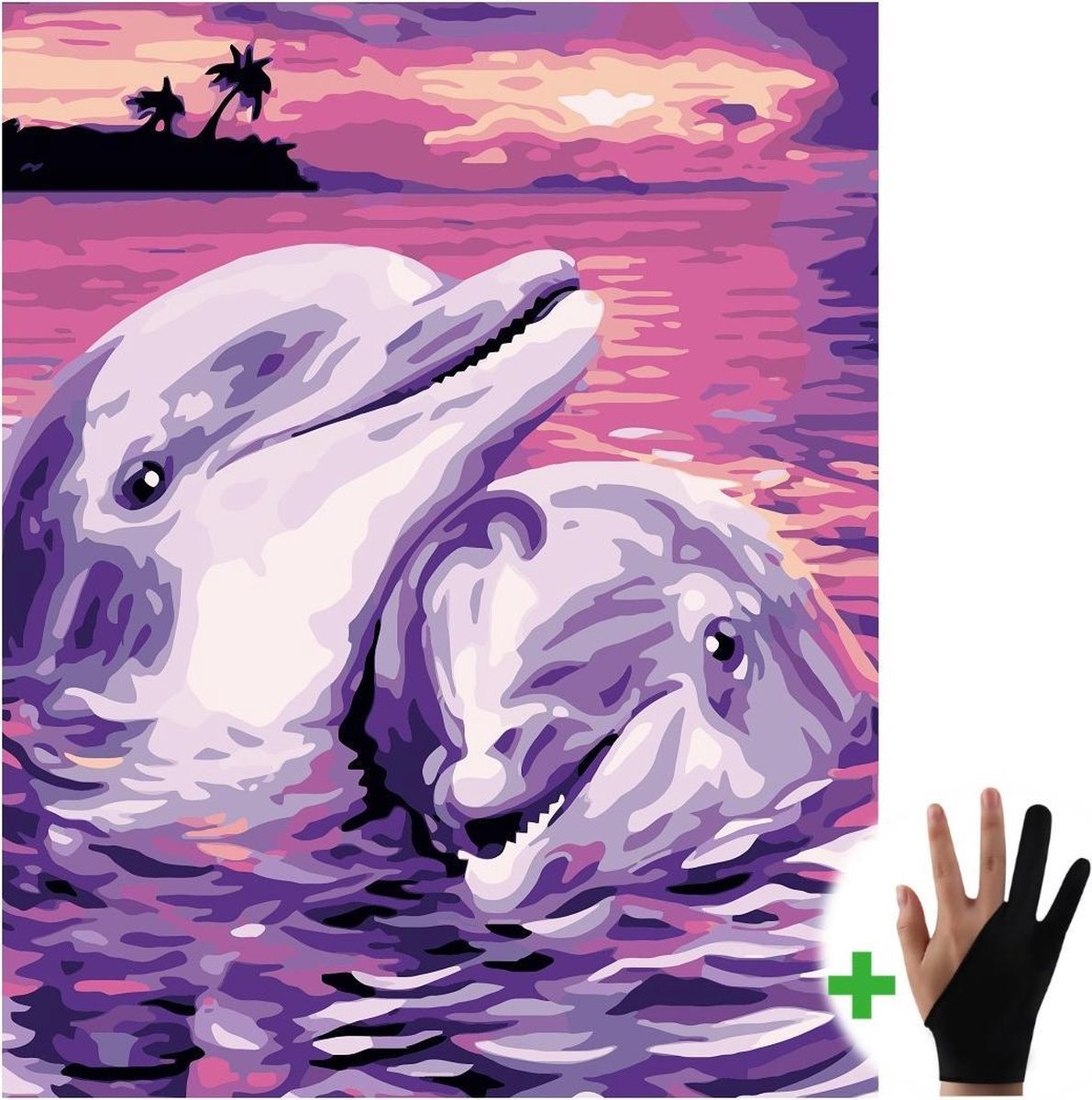 Schilderen Op Nummer Volwassenen Dolfijnen Dieren – 40x50 cm - Inclusief...  | bol.com
