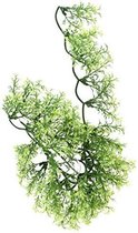 ZooMed - naturalistic flora - australian maple - large - terrariumplant