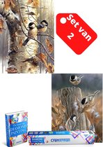 Crafterman™ Diamond Painting Volwassenen VOORDEEL SET VAN 2 STUKS - Vogels in de boom 30x40cm & Vogels op een boomstronk 30x40cm  volledige bedekking - vierkante steentjes  - Met 2 E-books  -