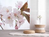 Professioneel Fotobehang Japanse kersenbloesem op tak - wit roze - Sticky Decoration - fotobehang - decoratie - woonaccessoires - inclusief gratis hobbymesje -415 cm breed x 280 cm hoog - in 
