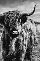 Schotse Hooglander Zwart Wit op Textiel in Frame - WallCatcher | Staand 120 x 180 cm | Breed zwart Textielframe 27 mm | Luxe kwaliteit wanddecoratie op peesdoek
