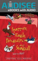 Animal Groups Are CATegorical ™ - Sparrow, Eagle, Penguin, and Seagull