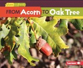 Start to Finish, Second Series - From Acorn to Oak Tree