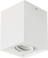 Hary Opbouwspot - Vierkant - Plafondspot past over centraaldoos - GU10 - 1 Lichtpunt - Wit - Spotjes voor woonkamer, slaapkamer of keuken.