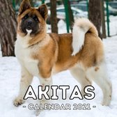 Akitas