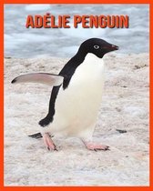 Adelie Penguin