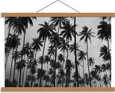 Schoolplaat – Palmbomen in de Hoogte Zwart - Wit - 60x40cm Foto op Textielposter (Wanddecoratie op Schoolplaat)