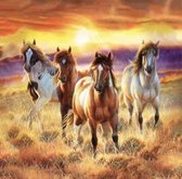 Diamond Painting - Prachtige paarden en een veld - Seos shop