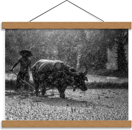 Schoolplaat – Man met Stier in Regen Zwart - Wit - 40x30cm Foto op Textielposter (Wanddecoratie op Schoolplaat)