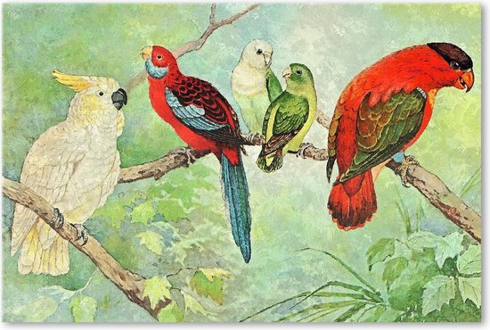 Vogels - Papegaaien - Schilderij op Canvas