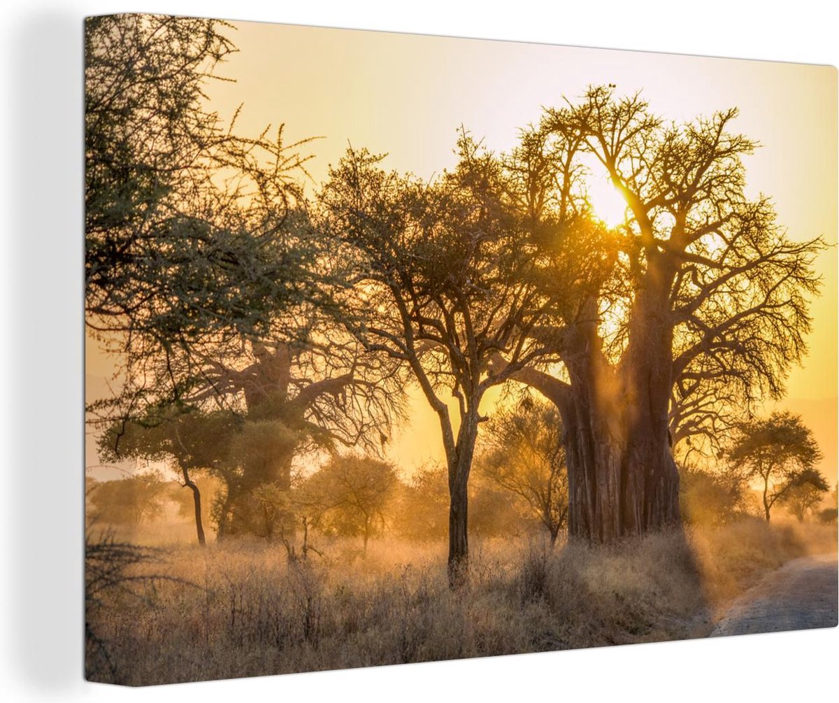 Canvas Schilderij Baobab Baobab boom in mistig landschap