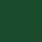 Houten kralen, d 12 mm, gatgrootte 3 mm, groen, 22 gr/ 1 doos