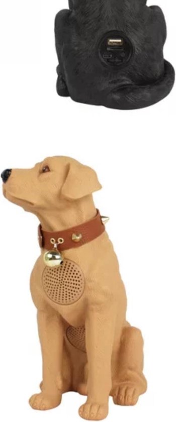 Haut-parleur numérique Bluetooth chien - Décoration - Boîte - Labrador -  Tondeuse -... | bol.com