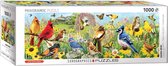 Eurographics Garden Birds - Greg Giordano Panorama (1000)