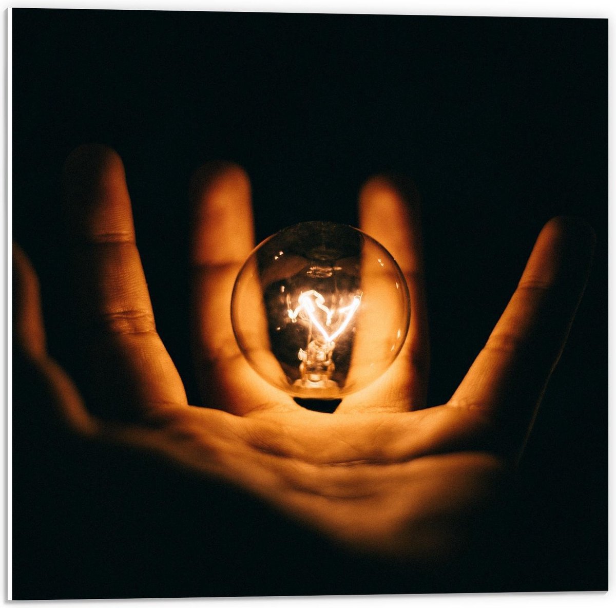 Forex - Lichtgevende Gloeilamp in Handen met Zwarte Achtergrond - 50x50cm Foto op Forex