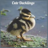 Cute Ducklings 2021 Wall Calendar