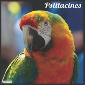 Psittacines 2021 Wall Calendar