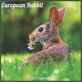 European Rabbit 2021 Calendar