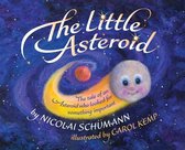 The Little Asteroid