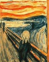 Paint by number voor volwassenen – schilderen op nummer – Abstract - the scream - De schreeuw - geschrokken - landschap – diy – zonder frame - 40x50cm