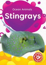 Ocean Animals- Stingrays