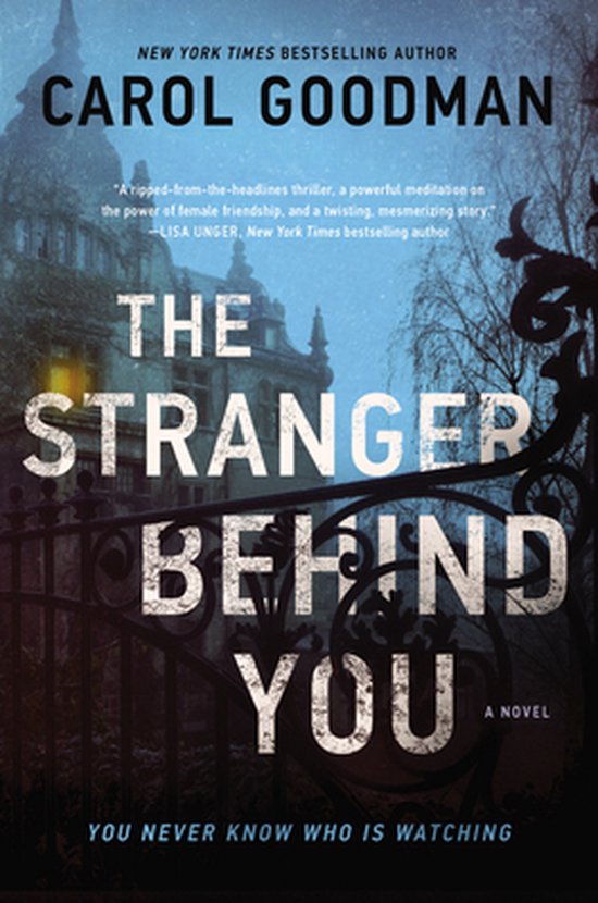 The Stranger Behind You: A Novel - cover