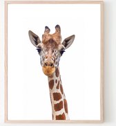 Poster Jungle / Safari Giraffe - 50x40cm - Baby / Kinderkamer - Dieren Poster - Muurdecoratie